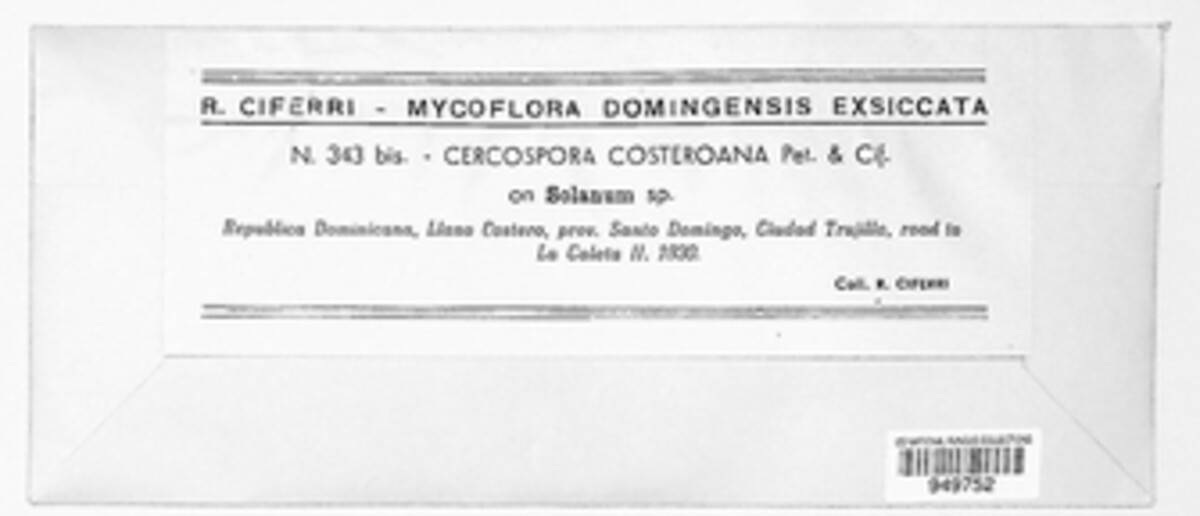 Mycovellosiella costeroana image